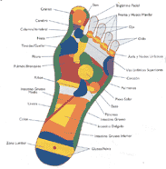 Haz Click para conocer la reflejoterapia de Leco