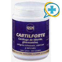 GSN CARTILFORTE 340 GR. (Chocolate o Limn)