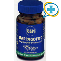 GSN HARPAGOFITO (60 comp. x 720 mg.)