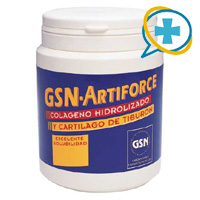 GSN ANTIFORCE 300 gr. (chocolate/fresa)