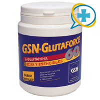 GSN GLUTAFORCE-60 240 GR. (chocolate)